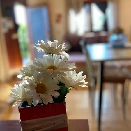 Quinta Leiras De Mondim Ferienhaus Pico