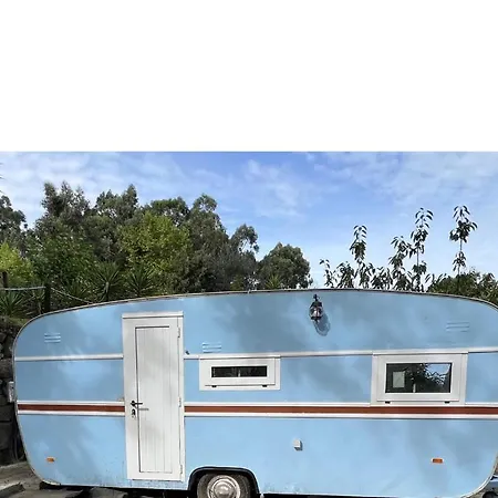 Quinta Leiras De Mondim Pico