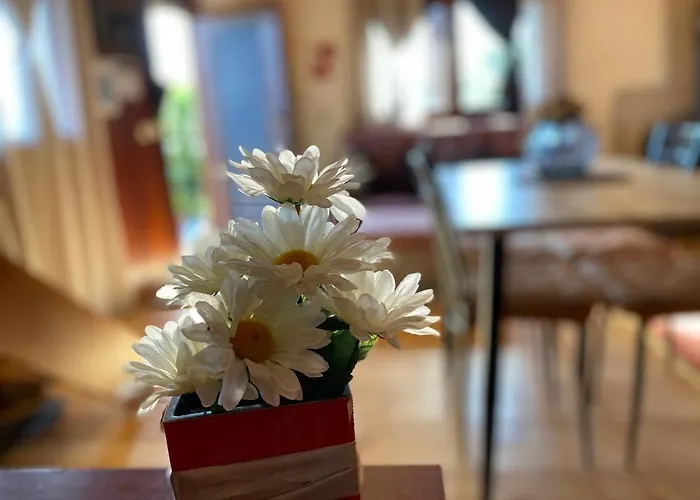 Turismo Homes Quinta Leiras De Mondim Сasa de vacaciones Pico